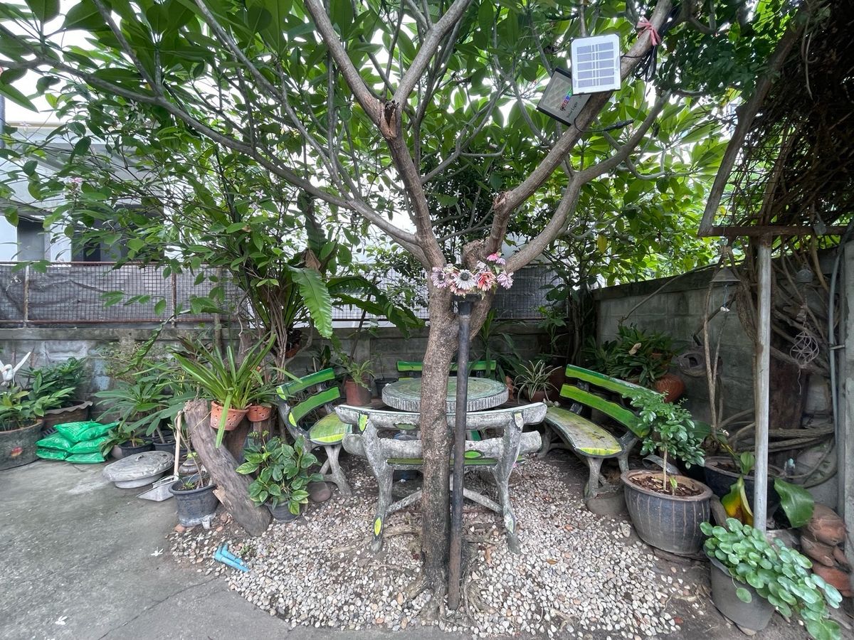 ขายบ้านอ่อนนุช อุดมสุข : 📢👇ขายบ้านเดี่ยว 2 ชั้น ทำเลดีเงียบสงบ ค่อนข้างส่วนตัว ใกล้แหล่งชุมชน เดินทางสะดวก ใกล้จุดขึ้นลงทางด่วน