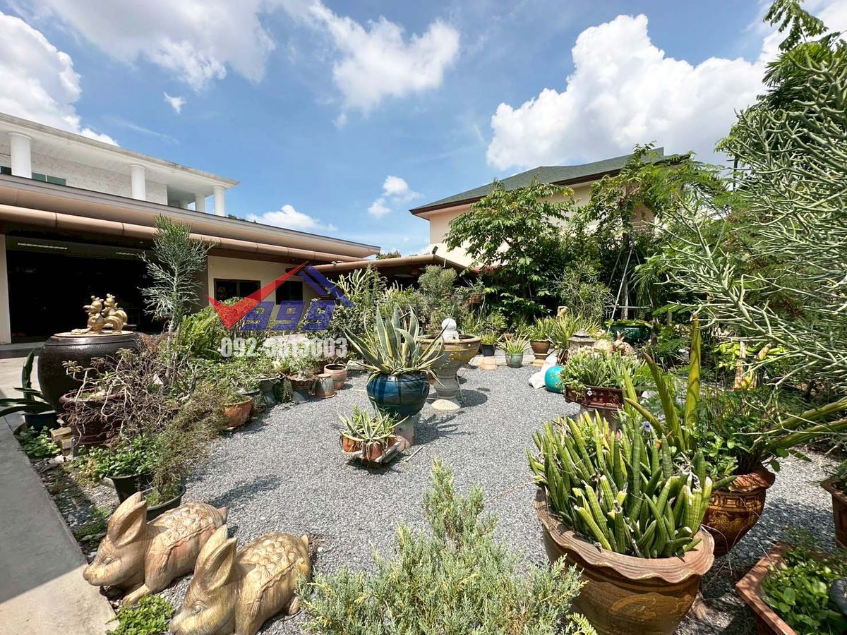 HousePattanakan, Srinakarin : 📌Sale/Rent 2 -story house, 5 bedrooms, can be made into an office, 1 rai area, good location, On Nut 66, Intersection 11  