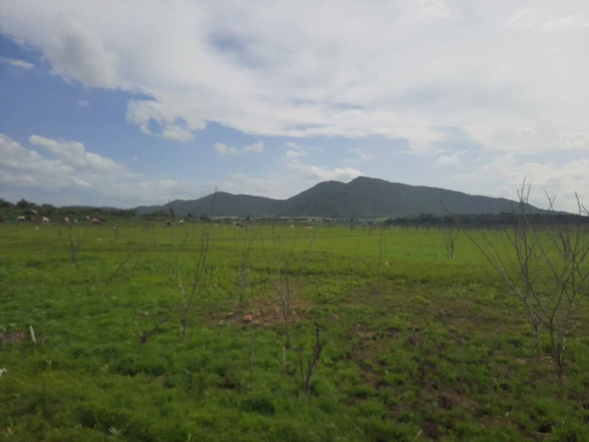 ขายที่ดินราชบุรี : ขายที่ดินใกล้สนานกอล์ฟ Dragon Hills & Country Clubs 