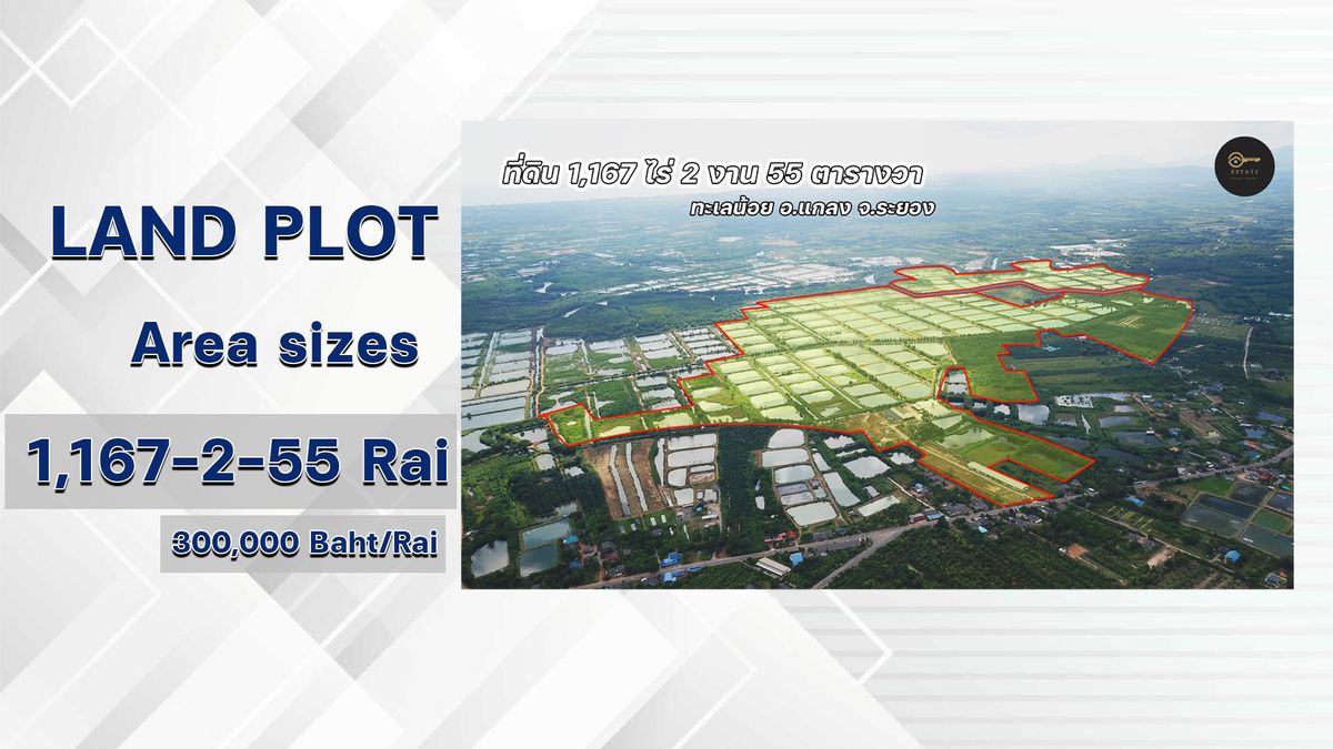 ขายที่ดินระยอง : ที่ดิน 1167 ไร่ ผังสีเหลือง จ.ระยอง ราคาเพียงไร่ละ 3 แสนบาท