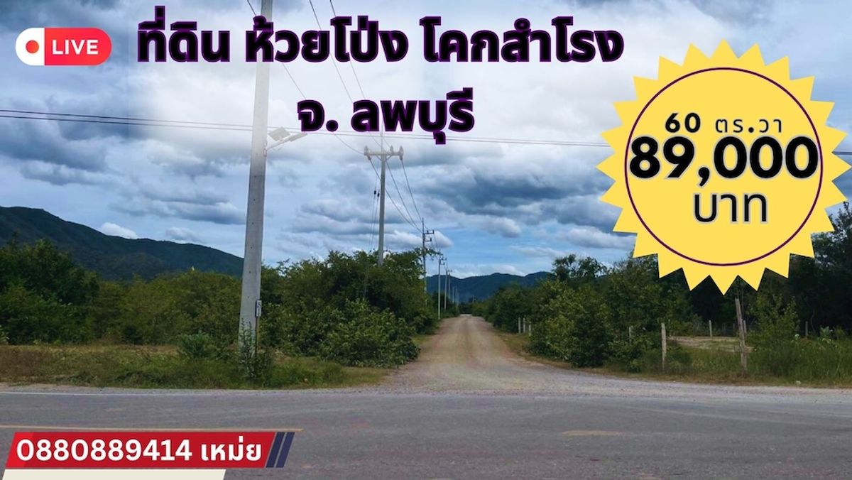 ขายที่ดินสระบุรี : ที่ดิน ห้วยโป่ง โคกสำโรง จ. ลพบุรี 60 ตร.วา จ. ลพบุรี