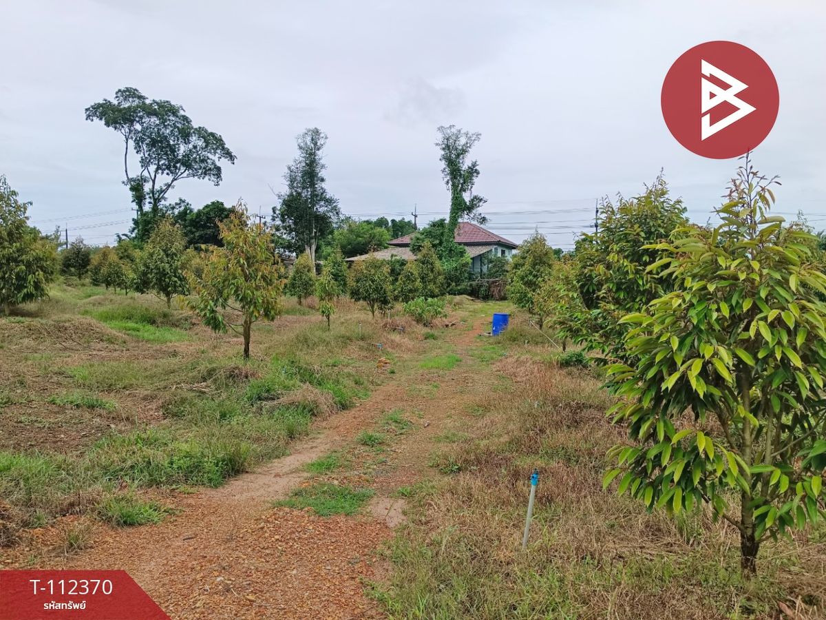 ขายที่ดินตราด : ขายที่ดินพร้อมสวนผลไม้ เนื้อที่ 8 ไร่ 16.1 ตร.วา ตะกาง ตราด