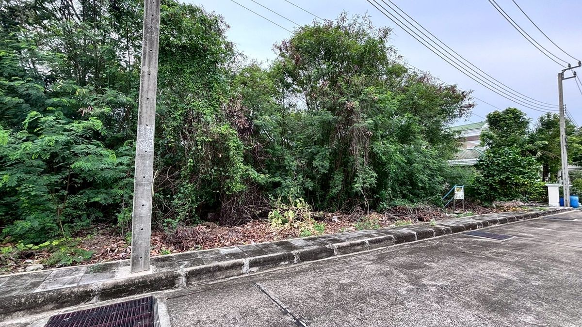 For SaleLandBang kae, Phetkasem : Land for sale in Ever Green Soi 10, Bang Khae