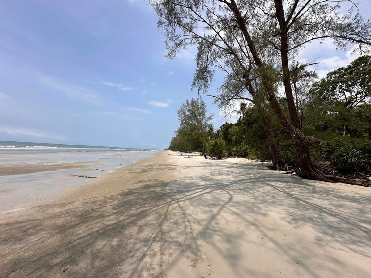 ขายที่ดินตราด : ขายที่ดินติดทะเล จังหวัดตราด คลองใหญ่  ไม้รูด หาดไพลิน