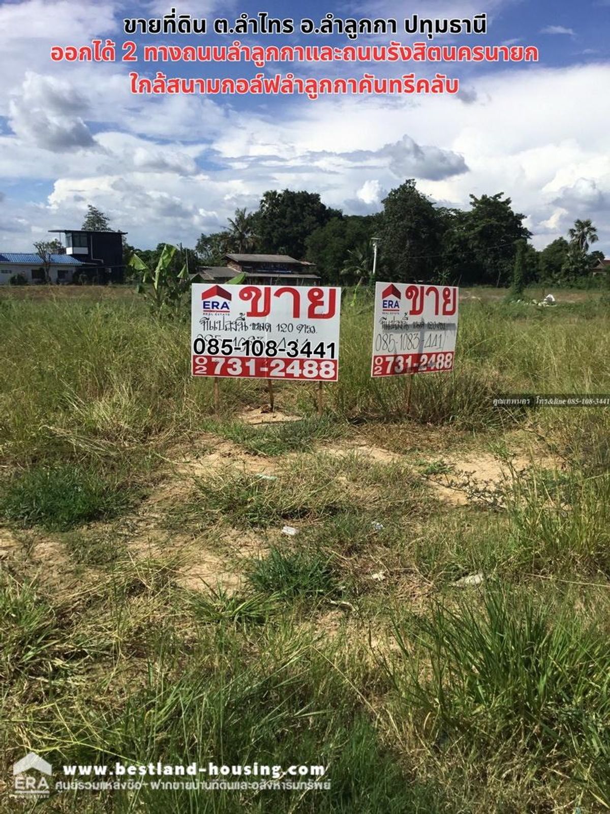 For SaleLandPathum Thani,Rangsit, Thammasat : 60 square meters of land for sale, Lam Sai Subdistrict, Lam Luk Ka District, Pathum Thani, land reclamation, concrete road