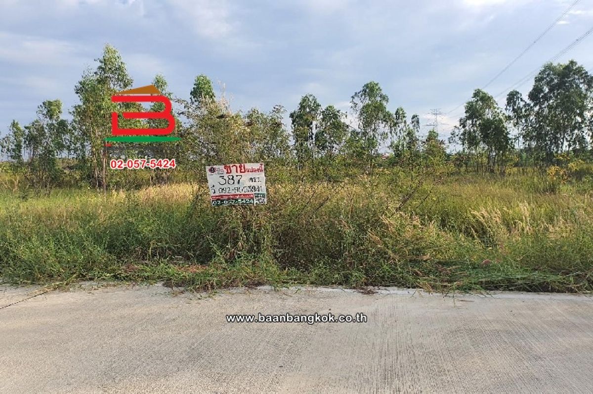 ขายที่ดินปทุมธานี รังสิต ธรรมศาสตร์ : ที่ดินเปล่า ติดถนนเทศบาล 6 เนื้อที่ 387 ตารางวา ใกล้อบต.หนองเสือคลองสิบ ตำบลบึงบา อำเภอหนองเสือ จังหวัดปทุมธานี