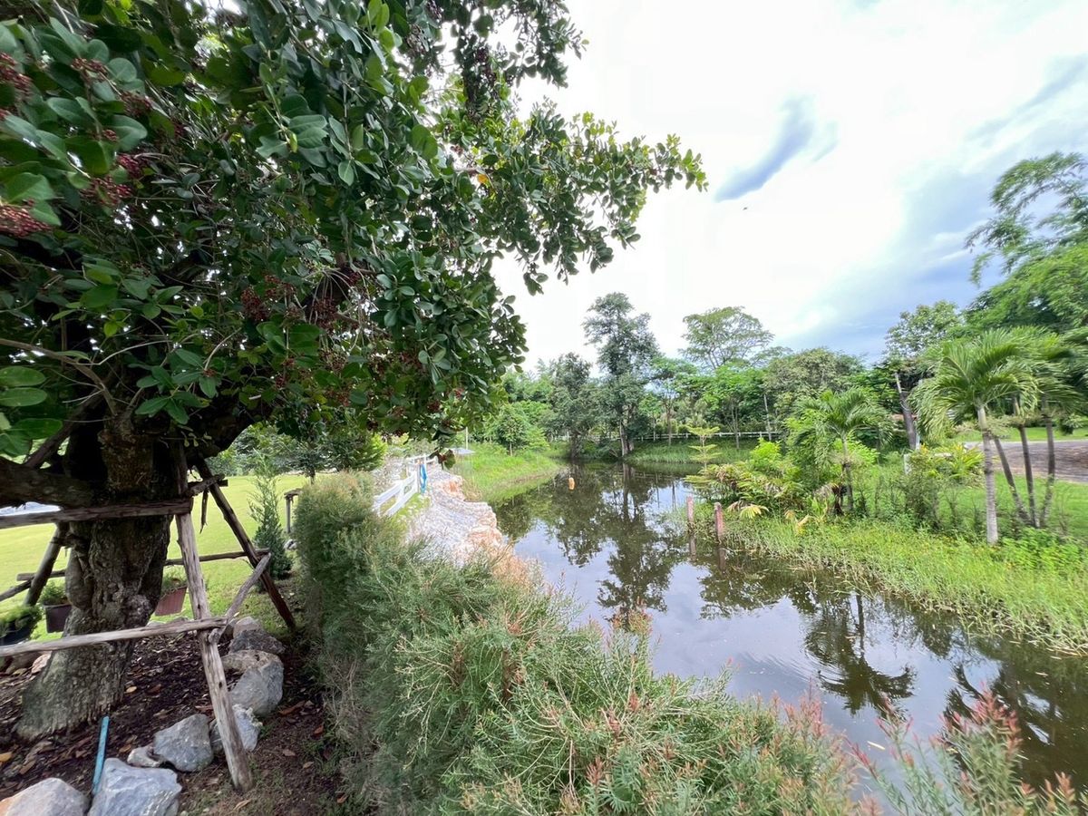 ขายบ้านปากช่อง เขาใหญ่ : 📢👇 บ้านหรู 2 ชั้น บนที่ดินกว้างใหญ่ วิวภูเขา อากาศดีตลอดปี ไม่ไกลจากกรุงเทพ ใกล้แหล่งท่องเที่ยว 