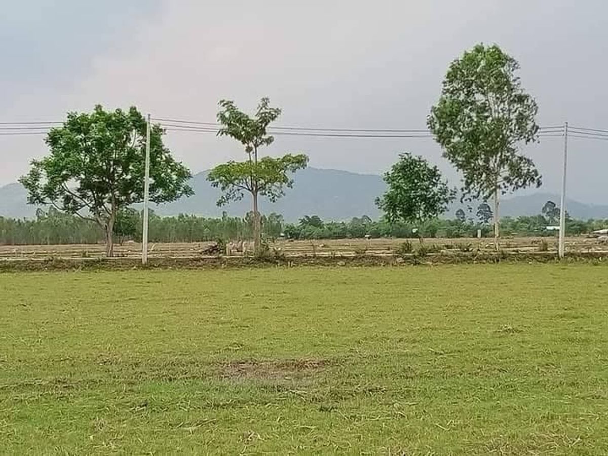 ขายที่ดินสระบุรี : ขายที่ดินราคาถูก!!
