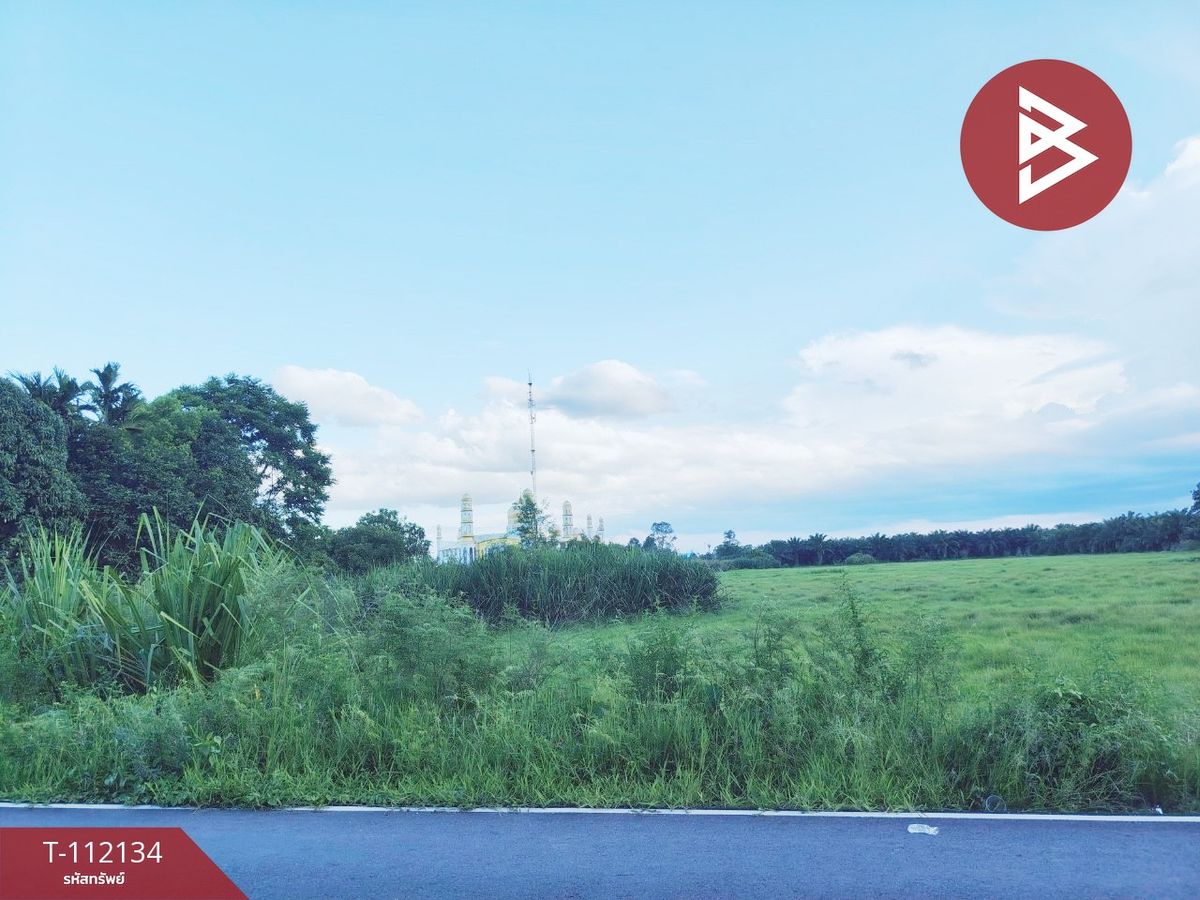 ขายที่ดินนครศรีธรรมราช : ขายที่ดิน เนื้อที่ 17 ไร่ 1 งาน 93.9 ตร.วา นาทราย นครศรีธรรมราช