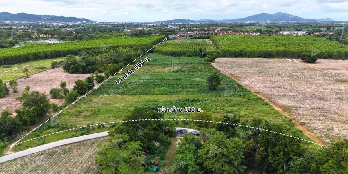 ขายที่ดินระยอง : ขายที่ดินสวยใกล้ทะเล บ้านฉาง ระยอง โลเคชั่นเยี่ยม บรรยากาศดี ห่างไกลมลพิษ น้ำไม่ท่วม