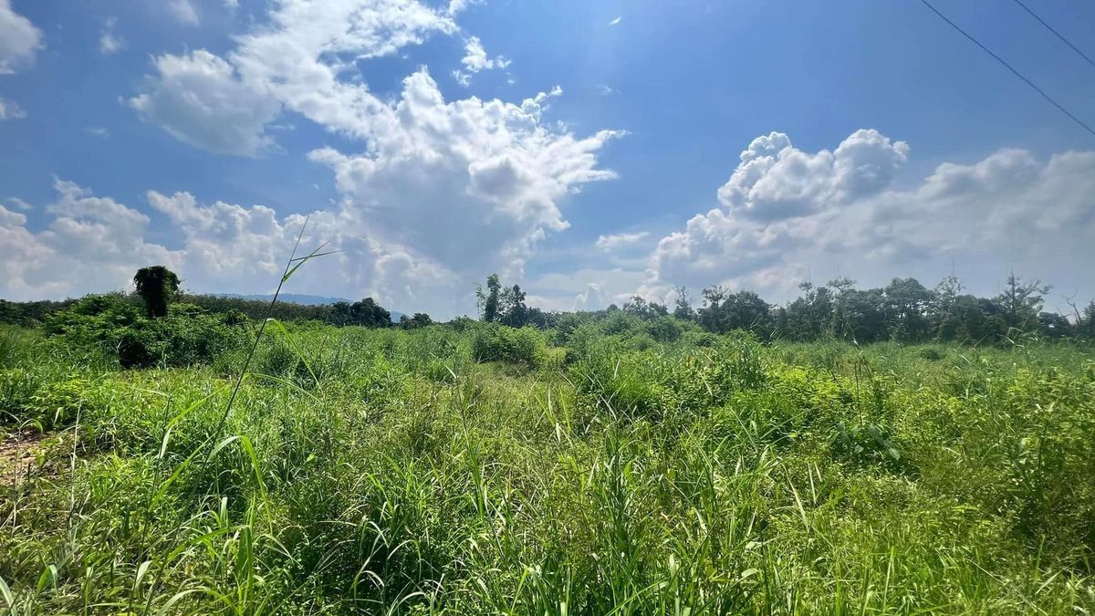 ขายที่ดินระยอง : ขายที่ดินเปล่า บ้านแลง อำเภอเมือง ระยอง ที่สวยฟีลธรรมชาติสุดฟิน 12-2-79 ไร่ 