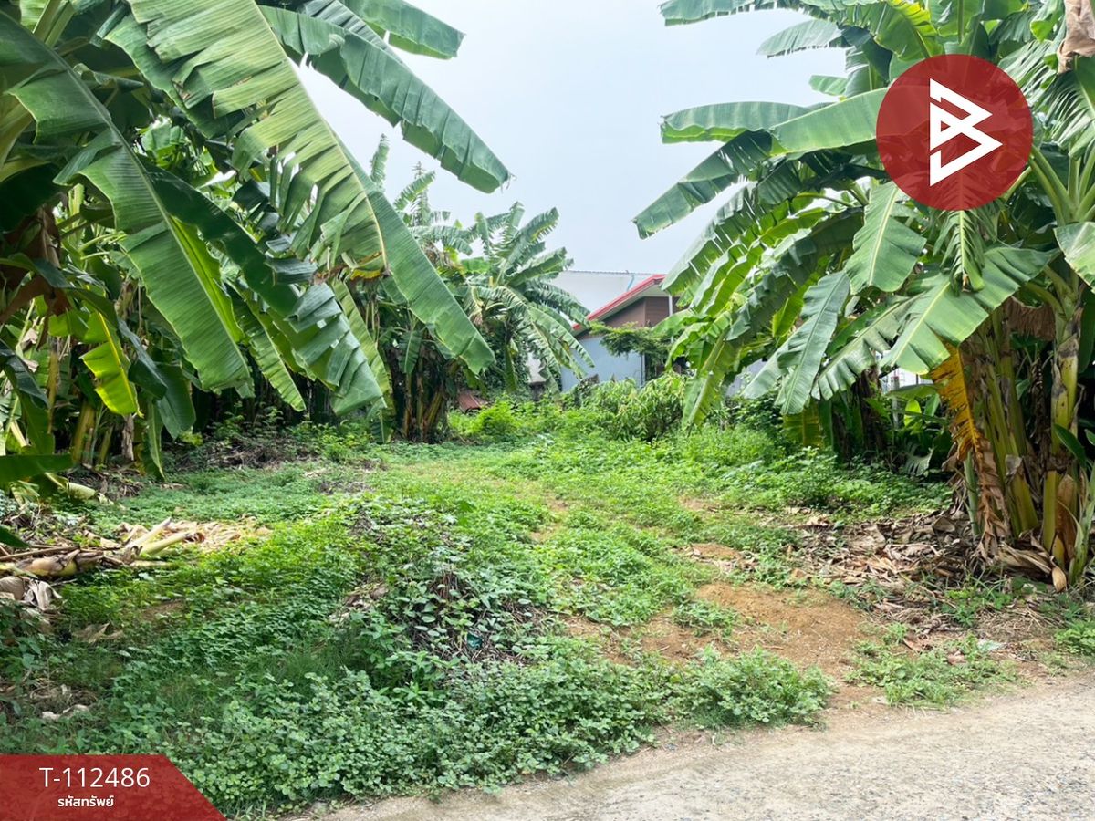 For SaleLandPhetchabun : Land for sale in an area of ​​1 work 9 sq.w. in Phetchabun