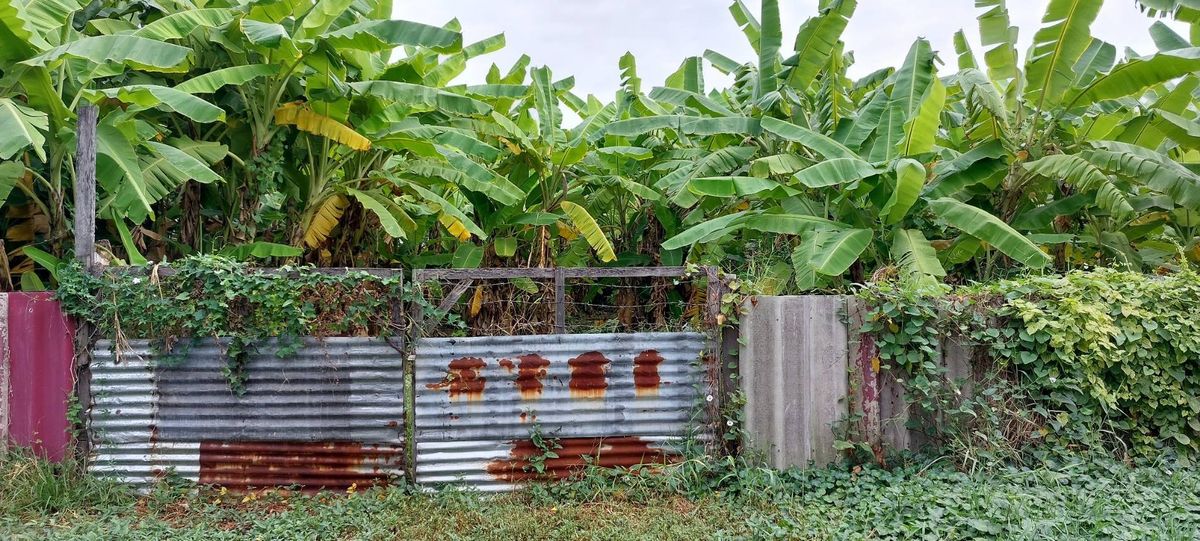 For SaleLandBang kae, Phetkasem : Urgent sale, land 339 sq.w., suitable for making an apartment mansion only 7.9 million baht