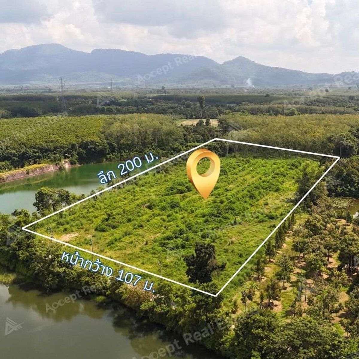 ขายที่ดินระยอง : ขายที่ดินเปล่า บ้านแลง อำเภอเมือง ระยอง ที่สวยฟีลธรรมชาติสุดฟิน 12-2-79 ไร่ 