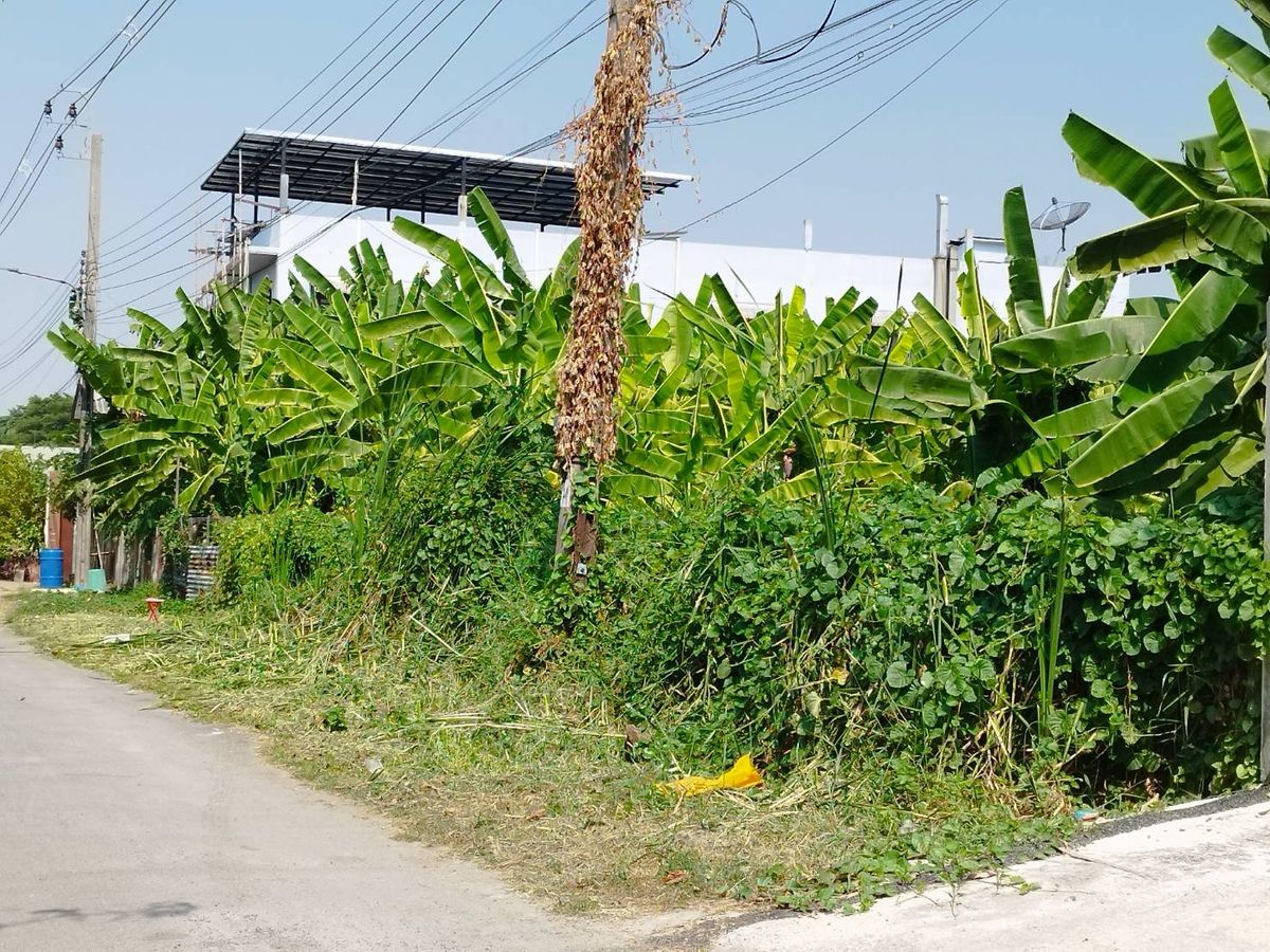 For SaleLandBang kae, Phetkasem : Urgent sale, land 339 sq.w., suitable for making an apartment mansion only 7.9 million baht