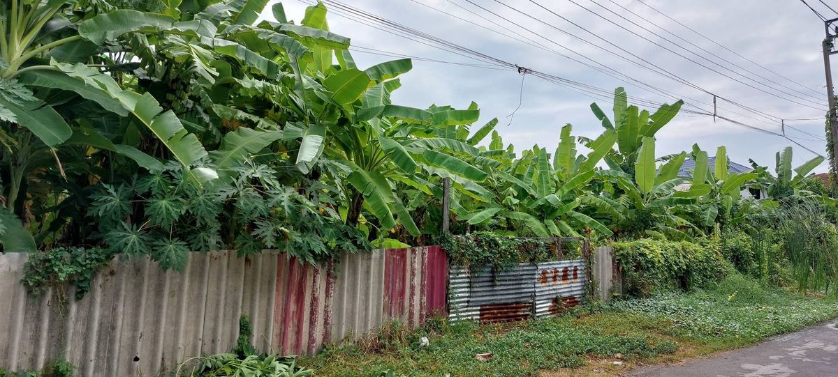 For SaleLandBang kae, Phetkasem : Urgent sale, land 339 sq.w., suitable for making an apartment mansion only 7.9 million baht