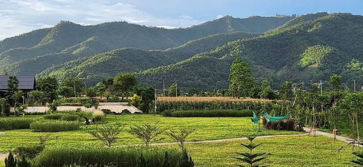For SaleHouseChiang Mai : Selling a holiday house of 10-2 rai. The view of Khao Surround is quiet, opposite Wat Tha Ton, Chiang Mai Province.