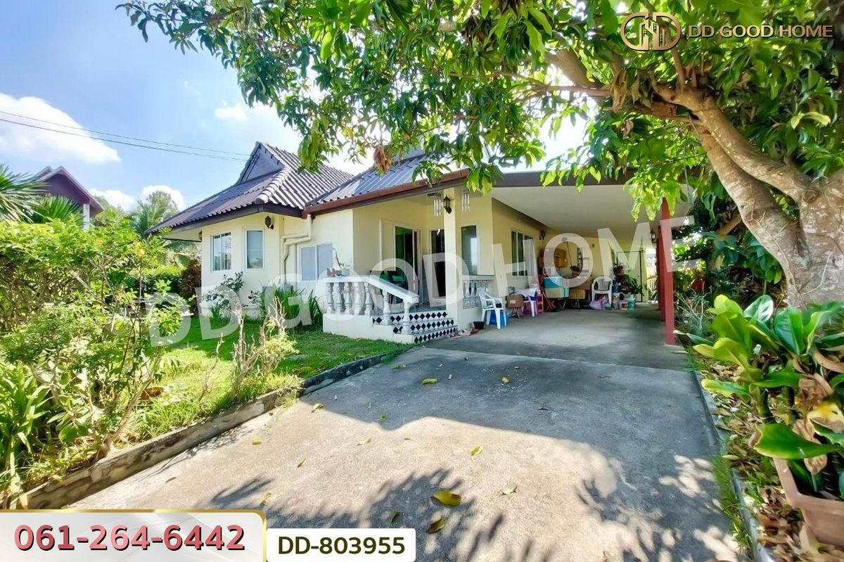 ขายบ้านเชียงใหม่ : DD-803955 บ้านเดี่ยว บ้านเวียงดอย ดอยสะเก็ด เชียงใหม่ ใกล้ดอยสะเก็ดพลาซ่า