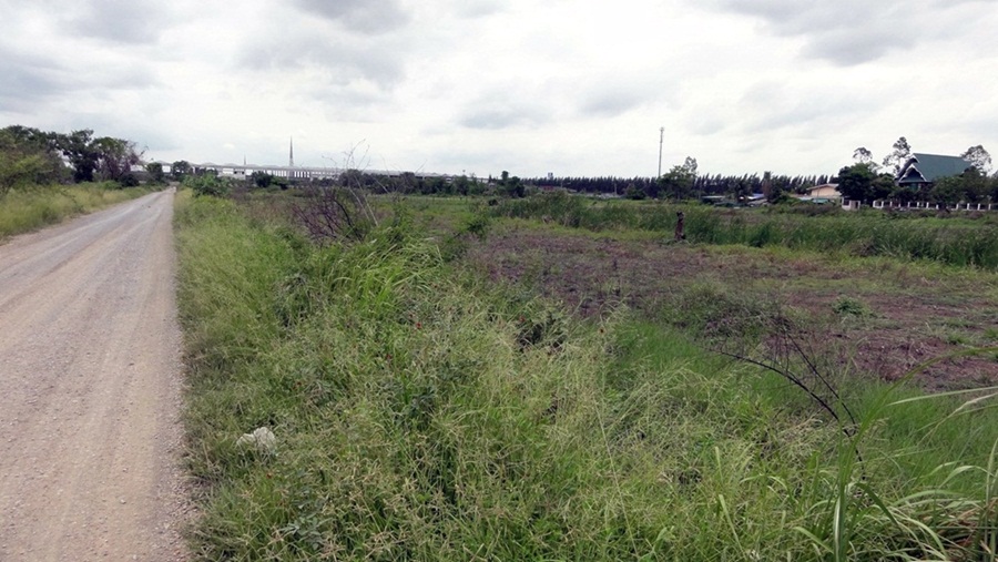 For RentLandPathum Thani,Rangsit, Thammasat : Land rental Near many Dhammakaya Temple Size 152-606 sq.w.