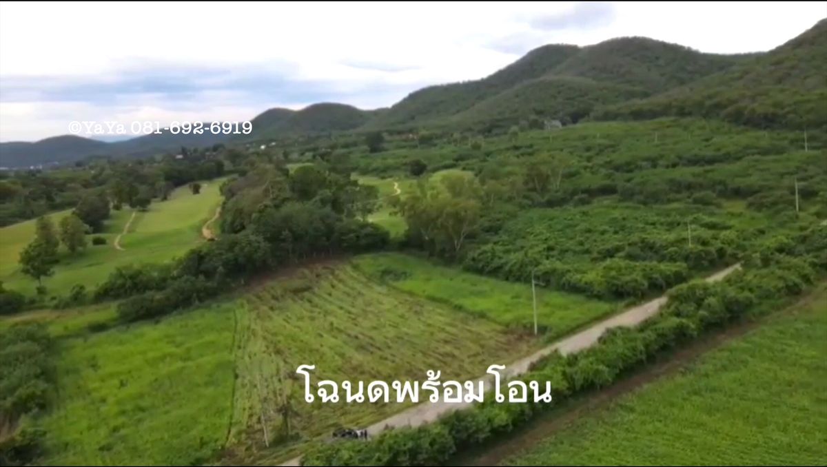 ขายที่ดินปากช่อง เขาใหญ่ : ขายที่ดินติดสนามกอล์ฟไฮแลนด์ 1 ไร่ 41 ตรว. ปากช่อง นครราชสีมา วิวภูเขา