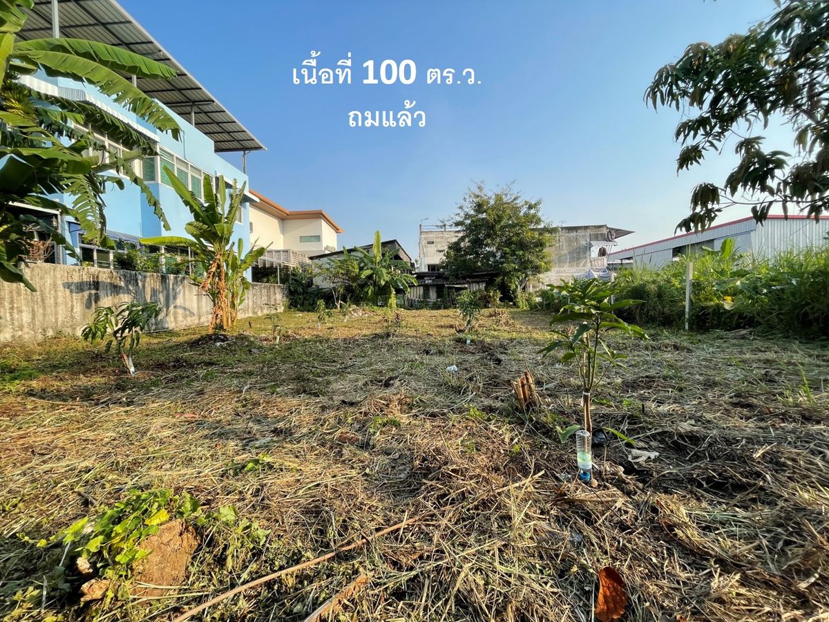 ขายที่ดินโชคชัย4 ลาดพร้าว71 : ขายด่วน ที่ดินทำเลดี ใจกลางเมืองโซนลาดพร้าว เนื้อที่ 100 ตร.ว. ถมแล้ว อยู่ในซอยสังคมสงเคราะห์ 16 แยก 4 เข้าออกเชื่อมต่อได้หลายทาง ใกล้ห้างฯ ทางด่วน และแหล่งชุมชน