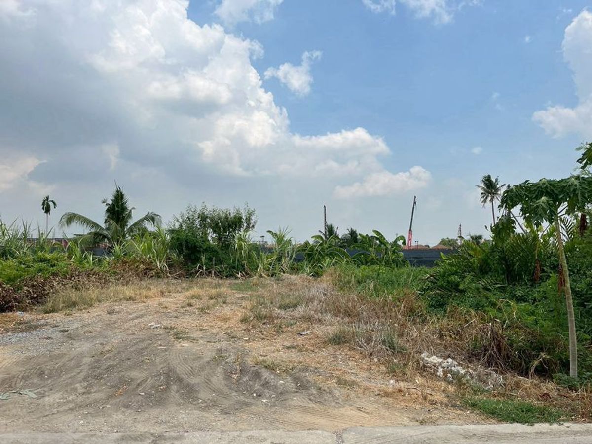 ขายที่ดินบางแค เพชรเกษม : ขายที่ดินเปล่าซอยบางแวก 156 บางแค ภาษีเจริญ พุทธมณฑลสาย 2 ถมแล้ว เหมาะสร้างบ้าน mrtหลักสอง