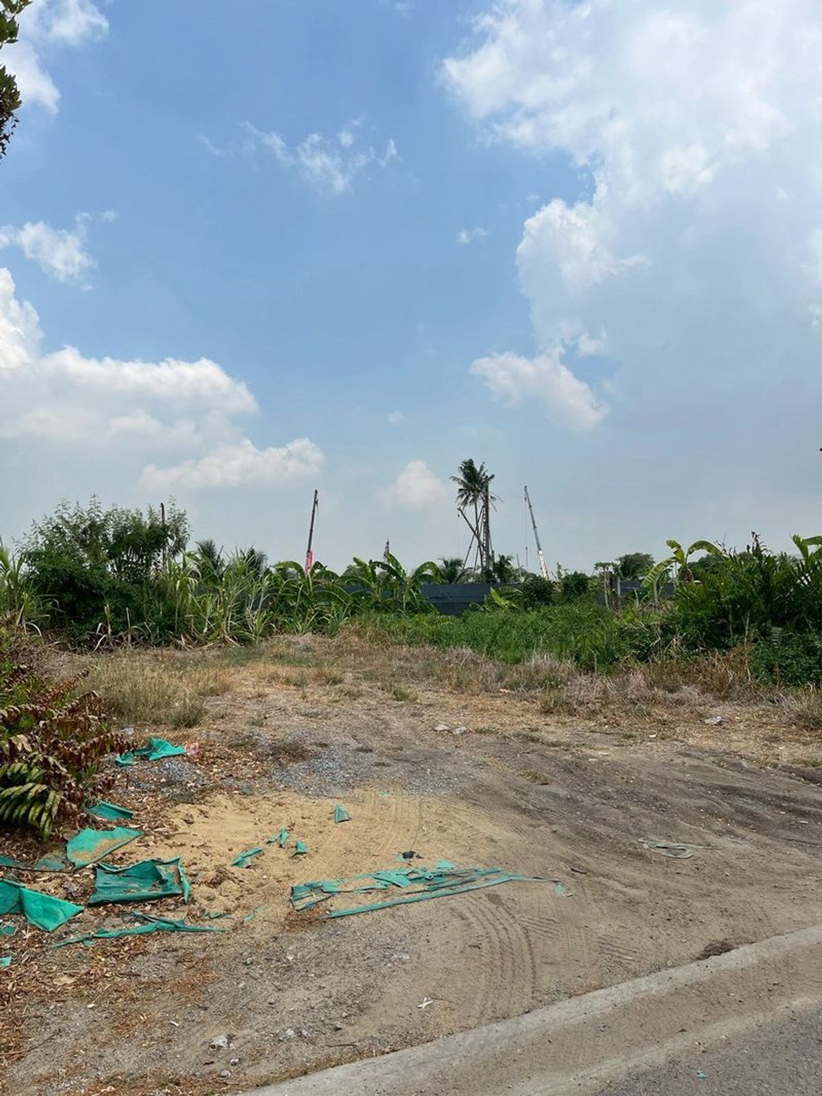 ขายที่ดินบางแค เพชรเกษม : ขายที่ดินเปล่าซอยบางแวก 156 บางแค ภาษีเจริญ พุทธมณฑลสาย 2 ถมแล้ว เหมาะสร้างบ้าน mrtหลักสอง