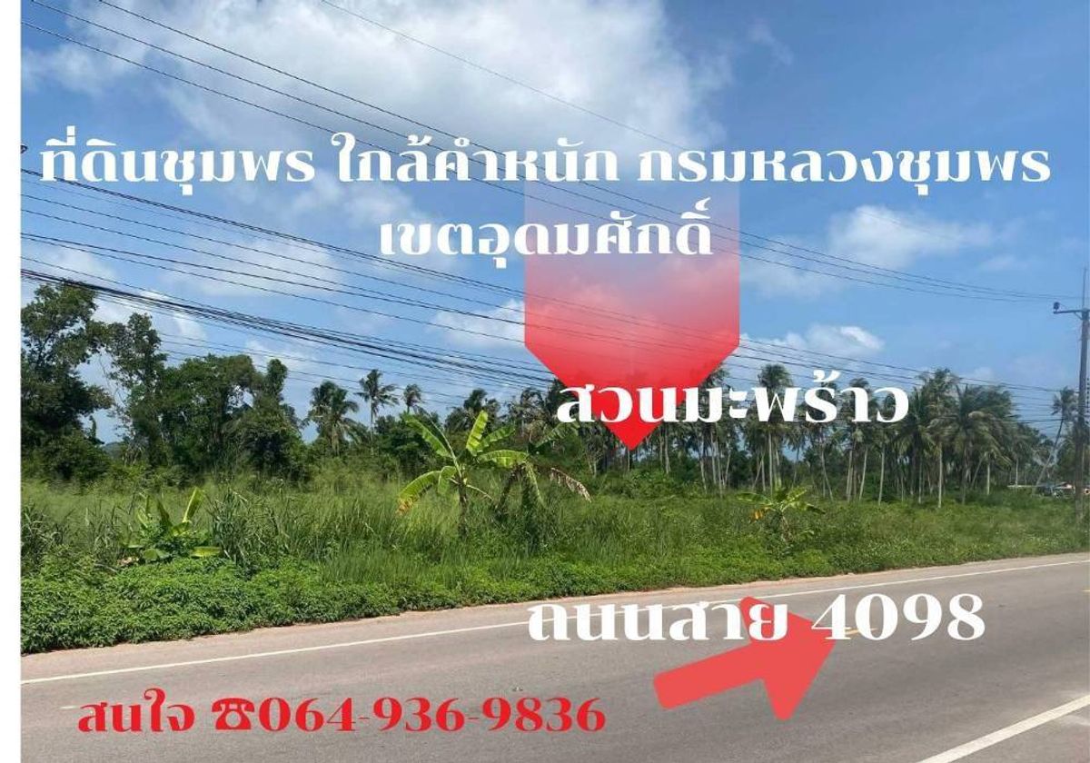 ขายที่ดินชุมพร : ขายถูกที่ดินเปล่าแปลงสวย ติดถนนท่องเที่ยวใกล้ตำหนักกรมหลวงชุมพรเขตอุดมศักดิ์