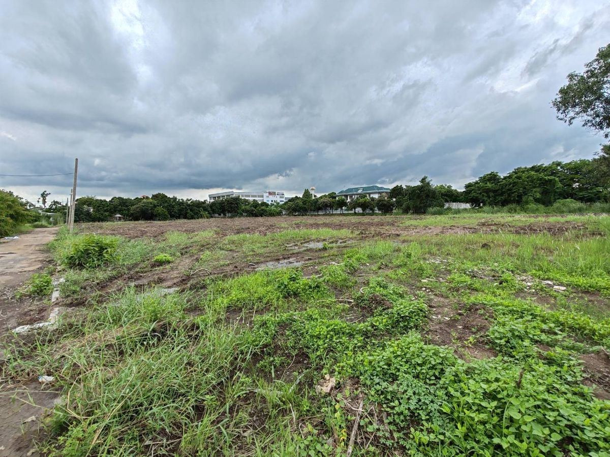 For SaleLandPathum Thani,Rangsit, Thammasat :  BELOW MARKET VALUE !!! Prime Land for Sale in Khlong Sam, Khlong Luang, Pathum Thani  Located in the prestigious World Club Land Village, this 5+ Rai plot is adjacent to Khlong Luang Road, near Dhammakaya Temple and the Kanchanaphisek Ring Road. Ideal fo