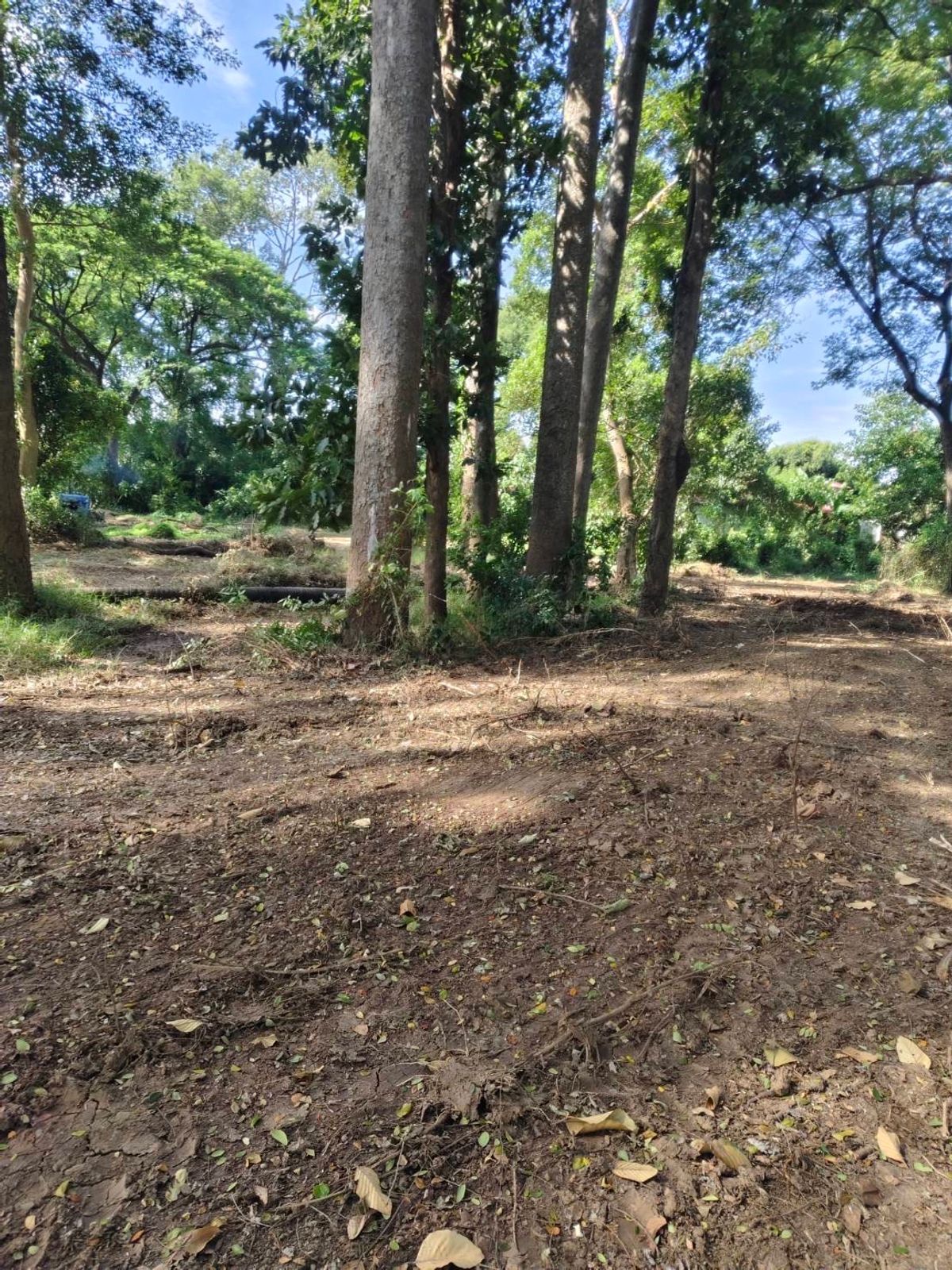 ขายที่ดินสระบุรี : ขายที่ดิน วิวสวย ติดแม่น้ำป่าสัก