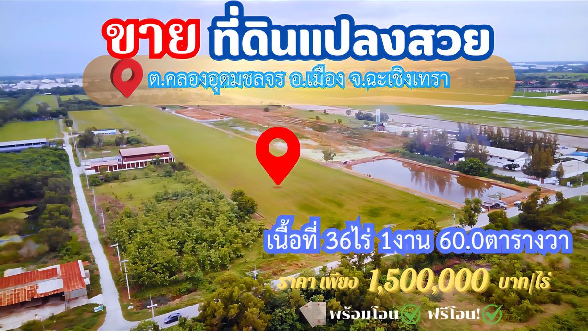 ขายที่ดินฉะเชิงเทรา : ขายที่ดินฉะเชิงเทรา 36ไร่ ผังสีส้ม ศักยภาพดี ทำเลใกล้เมือง