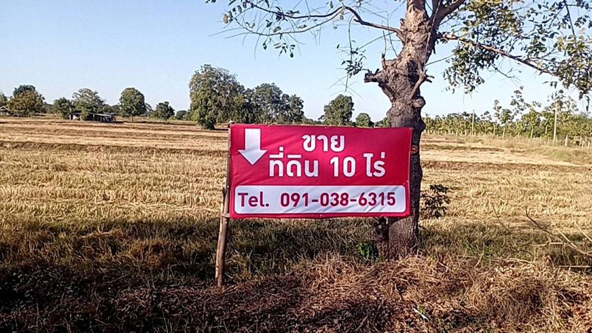 For SaleLandBuri Ram : Land for sale at 10 rai, corner conversion, on the road with a deed of the red Garuda, only 7 deleted. The cheapest in this area, Lam Plai Mat District, Buriram Province