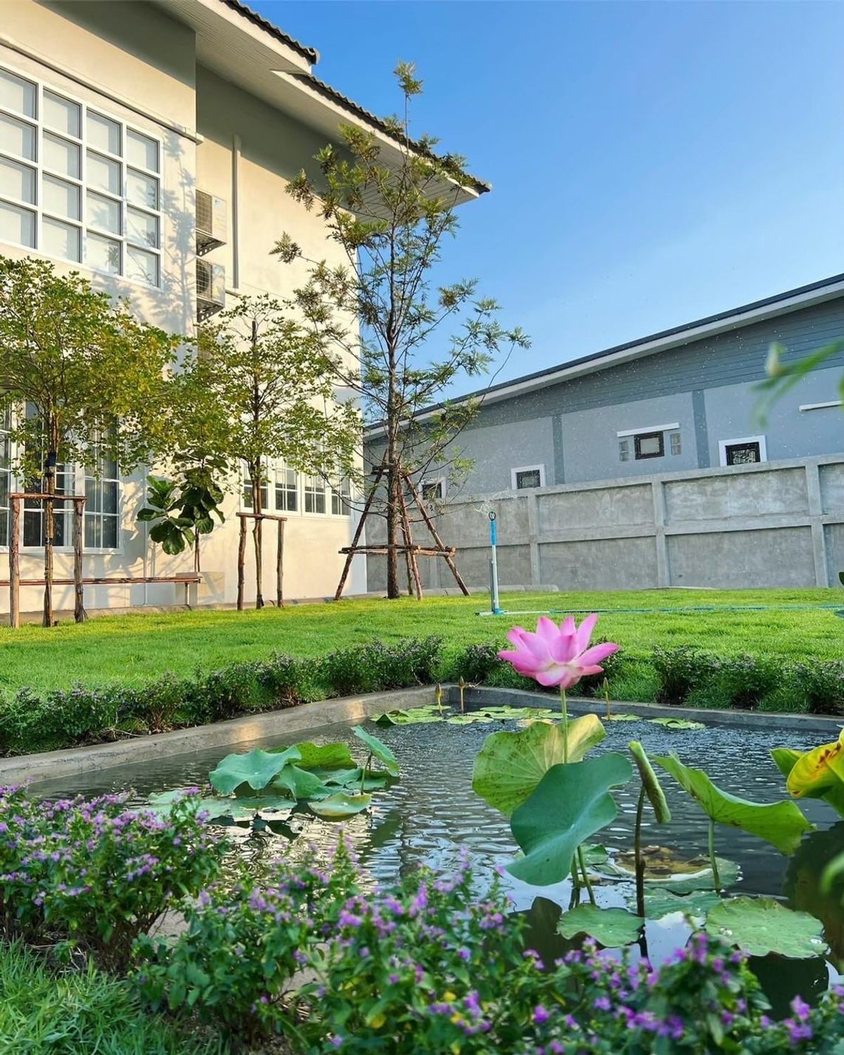 ขายบ้านกาญจนบุรี : 📢  ขาย 🏡 บ้านเดี่ยวหลังใหญ่ มีบริเวณกว้าง 🏘 รีโนเวทใหม่สวยมาก 🎍 ท่ามะขาม เมืองกาญ 🏞⛅