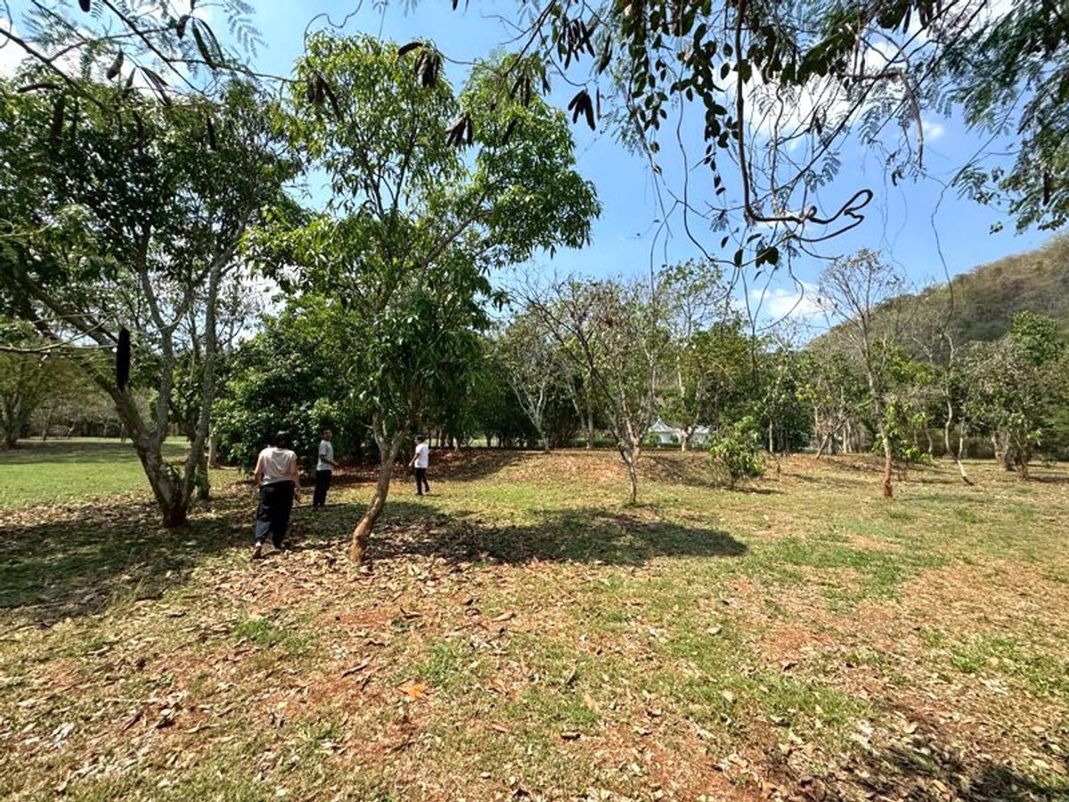 ขายที่ดินปากช่อง เขาใหญ่ : ขายที่ดินแปลงสวยขนาด 633 ตรว. ในโครงการ Dream Valley Khaoyai ใกล้ฟาร์มโชคชัย ในหมู่บ้านล้อมรั้ว