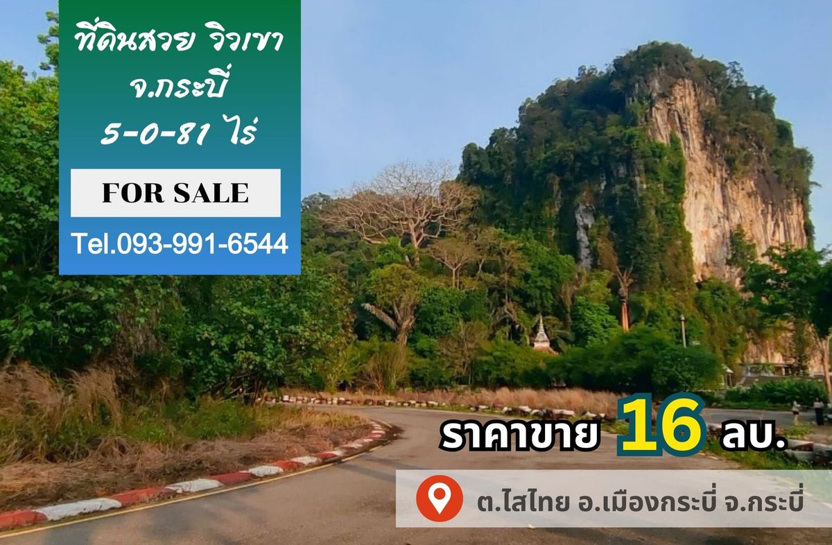 ขายที่ดินกระบี่ : ขายที่ดินวิวเขา 5-0-81 ไร่ อ.เมืองกระบี่ จ.กระบี่ ทำเลดี ใกล้ถนนใหญ่ เดินทางสะดวก #R1C27664