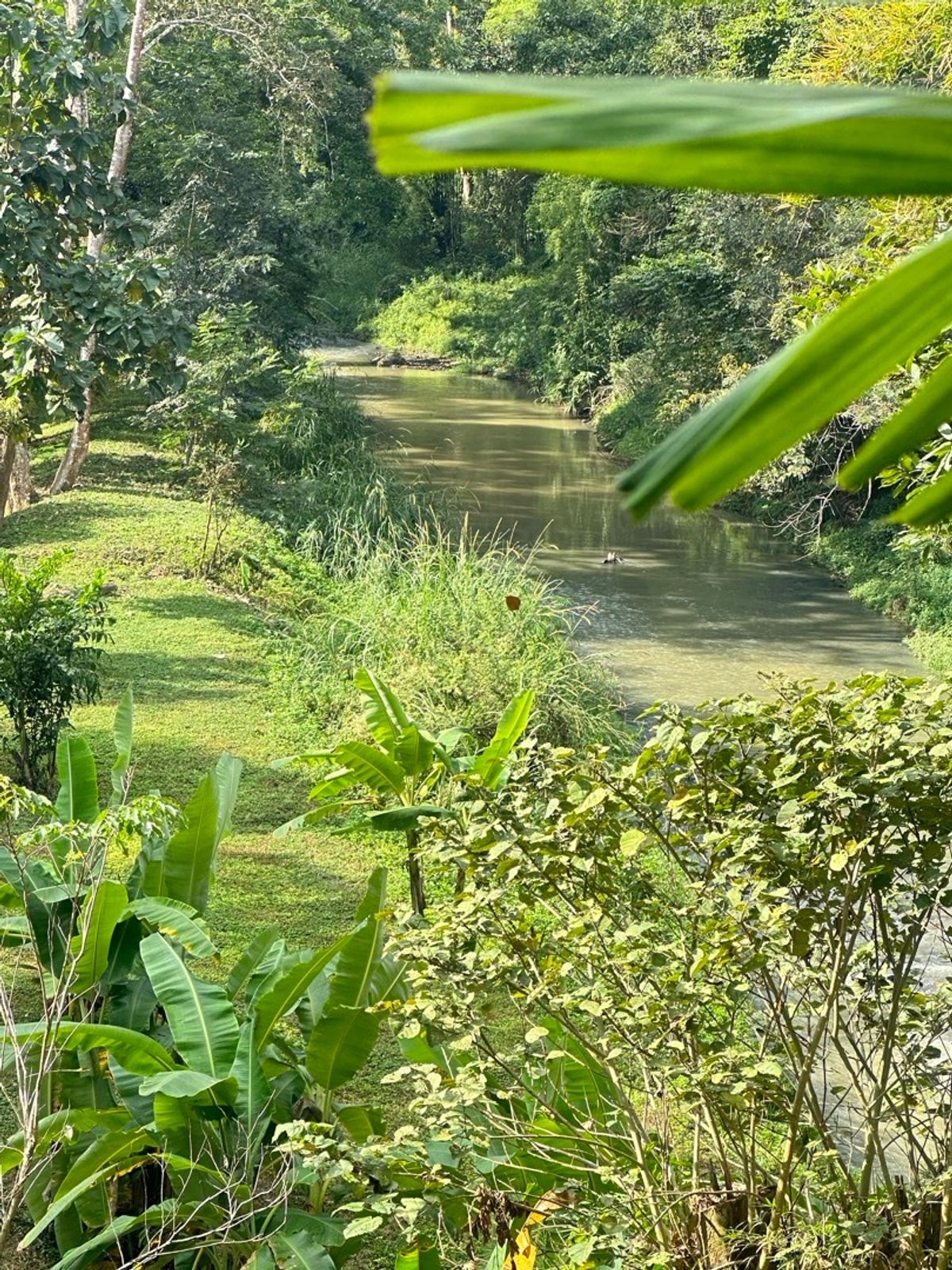 For SaleHouseChiang Mai : Land for sale with buildings, 3 houses, 5-0-28 rai, located on a hill.  The front is on the back road next to the stream. Cool weather The stream has water flowing throughout the year.  Light, Doi Saket, Chiang Mai, convenient to travel.