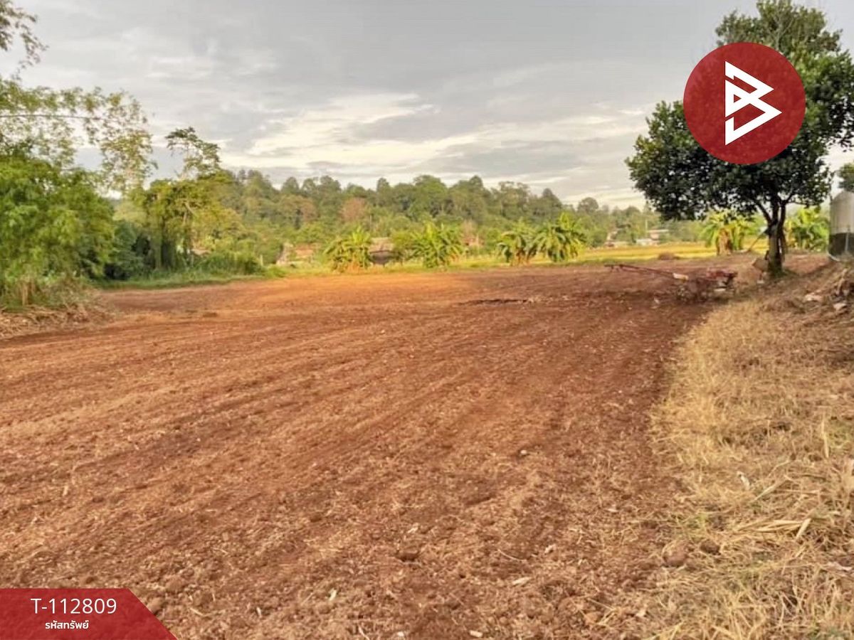 ขายที่ดินอุตรดิตถ์ : ขายที่ดิน เนื้อที่ 2 ไร่ 1 งาน 71 บ้านด่านนาขาม อุตรดิตถ์