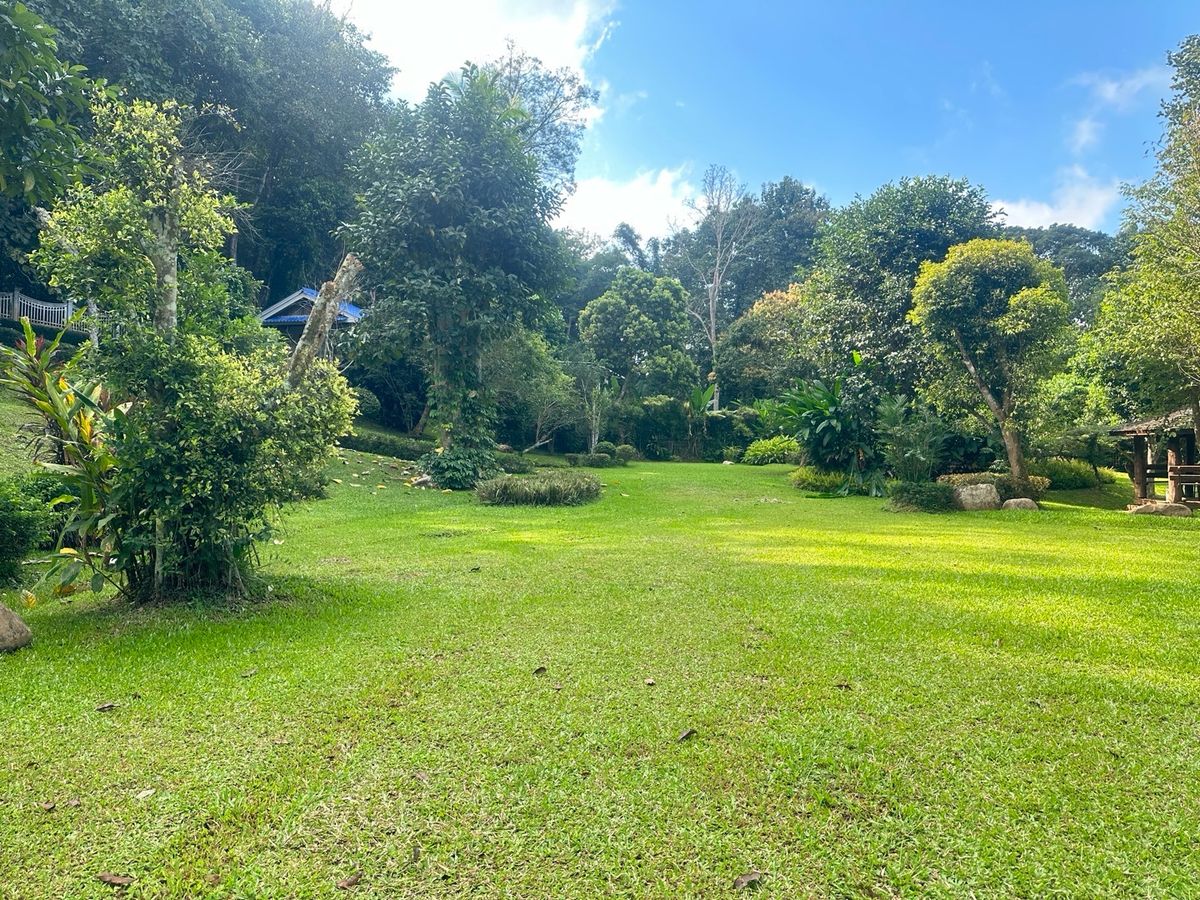 For SaleHouseChiang Mai : Land for sale with buildings, 3 houses, 5-0-28 rai, located on a hill.  The front is on the back road next to the stream. Cool weather The stream has water flowing throughout the year.  Light, Doi Saket, Chiang Mai, convenient to travel.