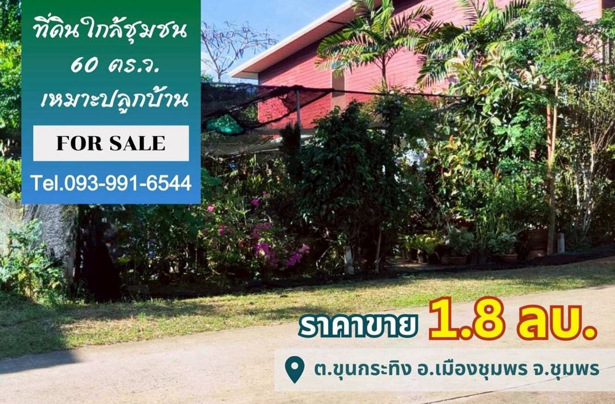 ขายที่ดินชุมพร : ขายที่ดินทำเลดี ✅️ ขนาด 60 ตร.ว. เหมาะปลูกบ้าน ใกล้ถนนใหญ่ ใกล้ชุมชน อ.เมืองชุมพร จ.ชุมพร #R1C27691