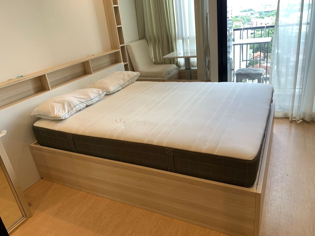 ให้เช่าคอนโดสุขุมวิท อโศก ทองหล่อ : ✨For Rent✨ Maru Ekkamai 2 (มารุ เอกมัย 2) 1 ห้องนอน 1 ห้องน้ำ 24,000🔥🔥Pet Friendly🐶🐱 Ready to move in 25 June 25🐶🐱