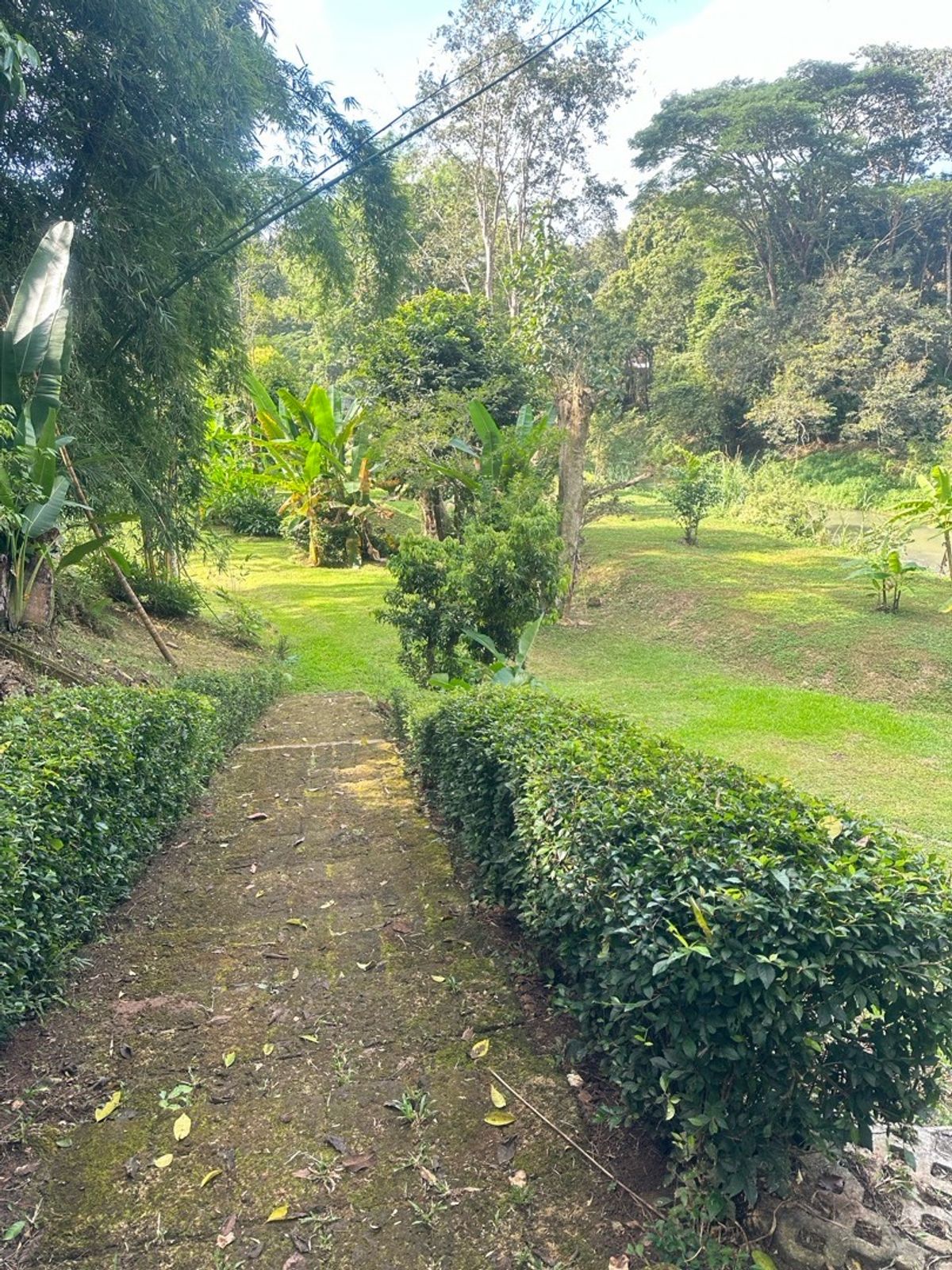For SaleHouseChiang Mai : Land for sale with buildings, 3 houses, 5-0-28 rai, located on a hill.  The front is on the back road next to the stream. Cool weather The stream has water flowing throughout the year.  Light, Doi Saket, Chiang Mai, convenient to travel.