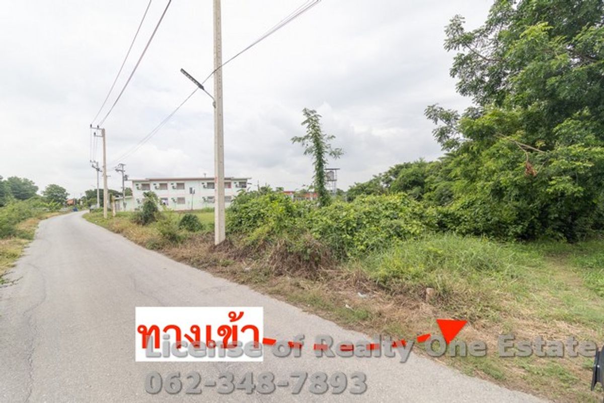 ขายที่ดินอ่างทอง : ขายที่ดิน ติดถนนลาดยาง ใกล้วัดไชยสงคราม ต.บ้านแห อ.เมือง จ.อ่างทอง
