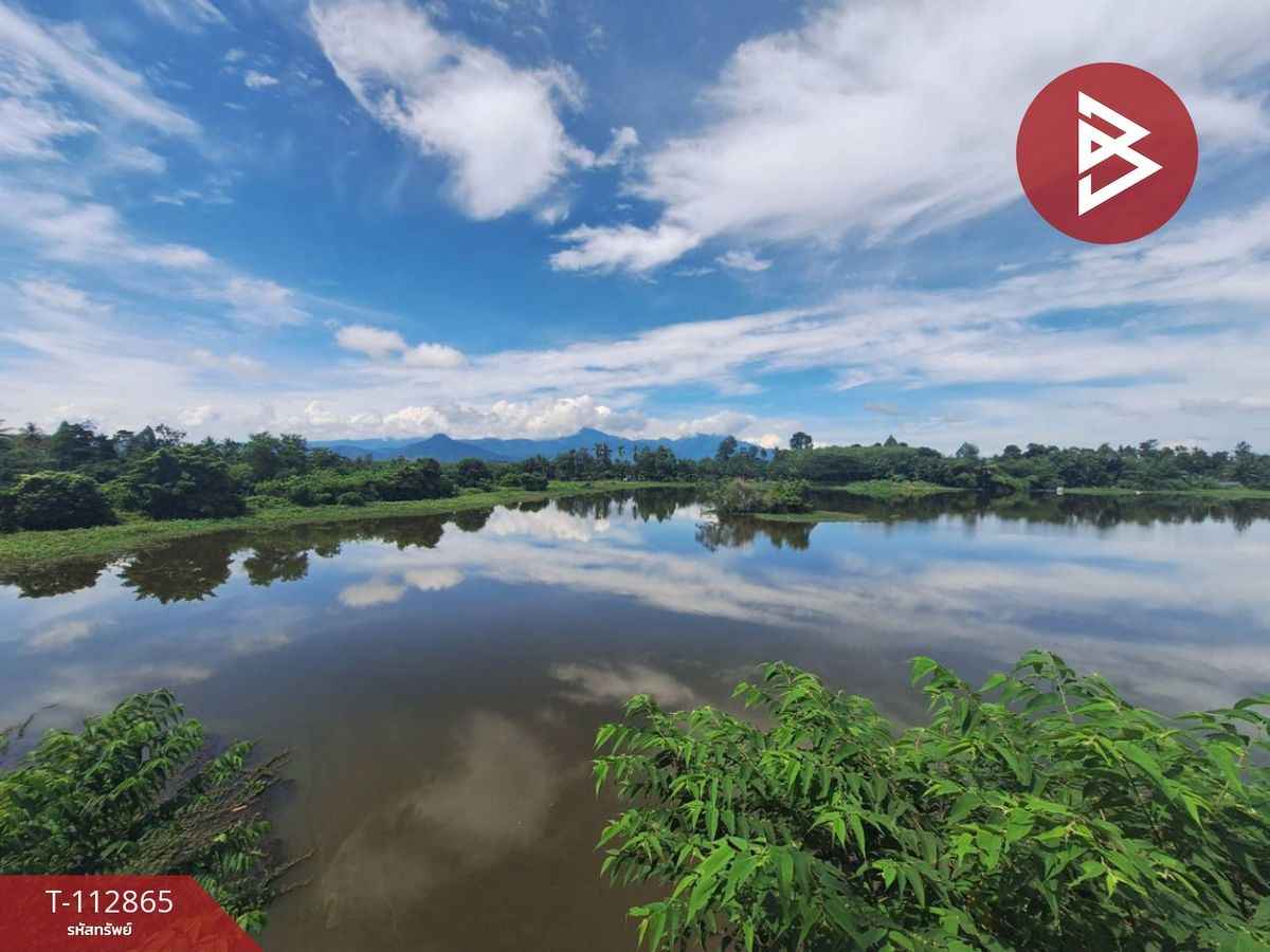 ขายที่ดินนครศรีธรรมราช : ขายที่ดิน เนื้อที่ 31 ไร่ 42.1 ตร.วา นาทราย นครศรีธรรมราช