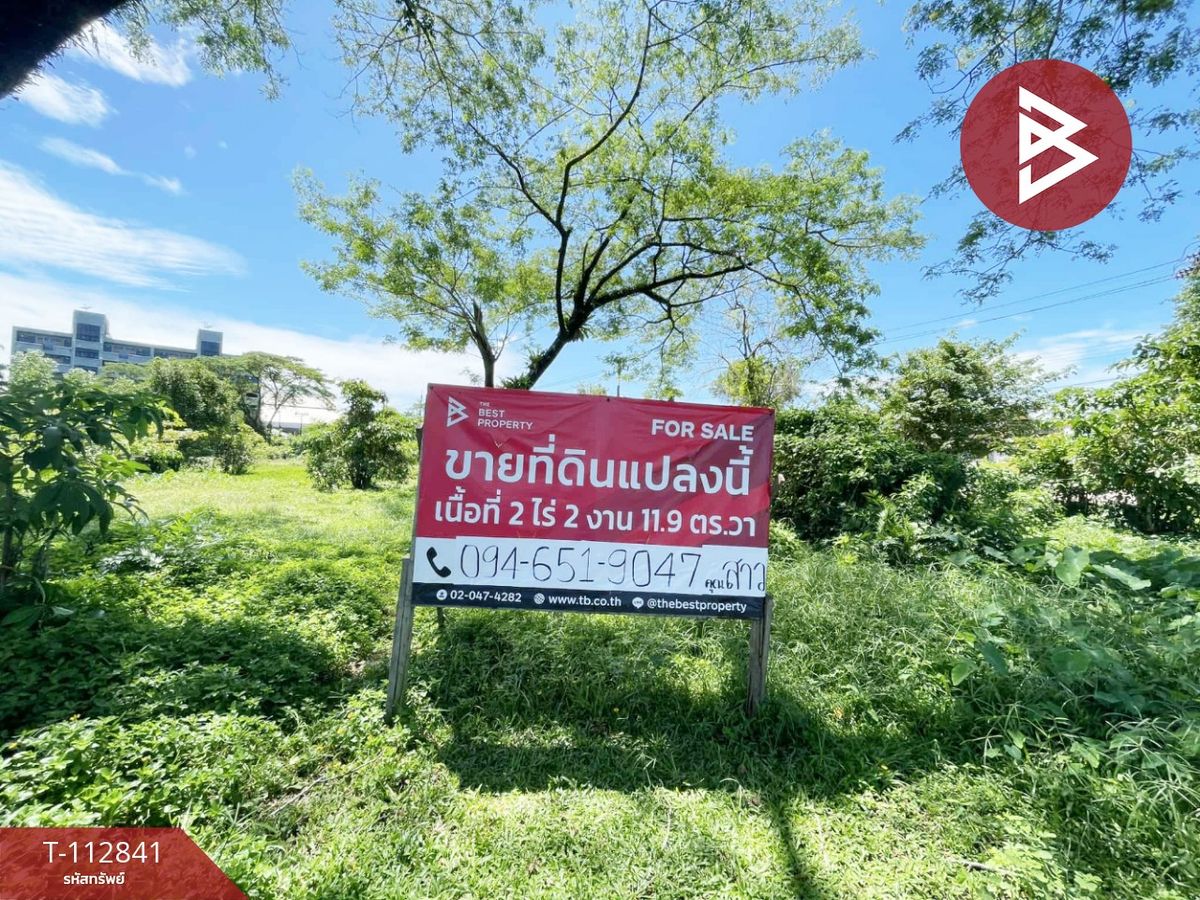 ขายที่ดินนราธิวาส : ขายที่ดิน เนื้อที่ 2 ไร่ 2 งาน 11.9 ตร.วา สุไหงโก-ลก นราธิวาส