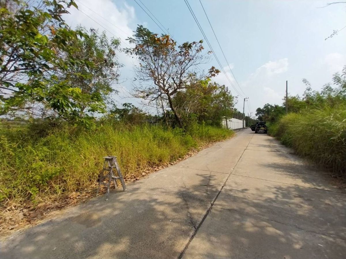 ขายที่ดินปทุมธานี รังสิต ธรรมศาสตร์ : ขายที่ดินเปล่าถมแล้ว 2 แปลงติดกัน แปลงละ 575 ตรว. โครงการเวิลด์คลับแลนด์ คลองสาม ปทุมธานี (รับนายหน้า)