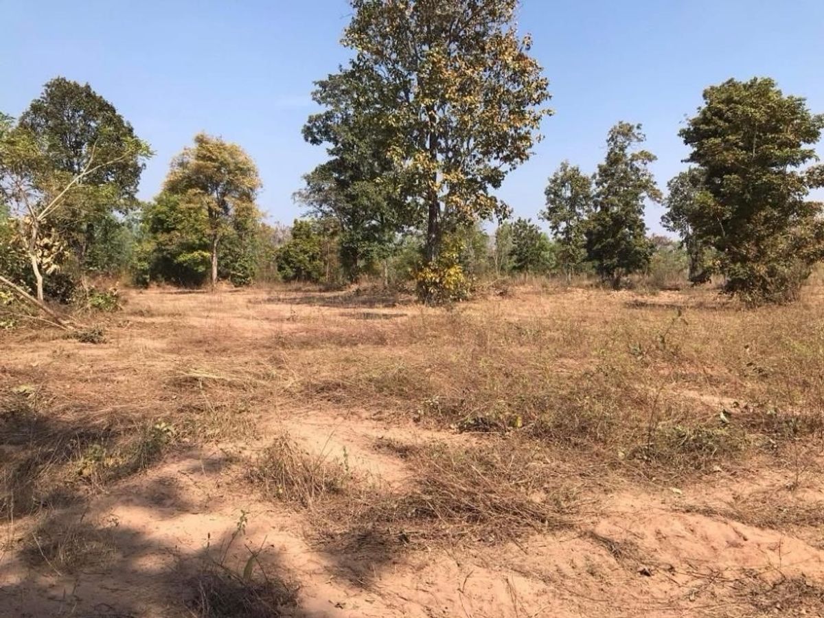 For SaleLandYala : Land for sale in the amount of 2 rai
