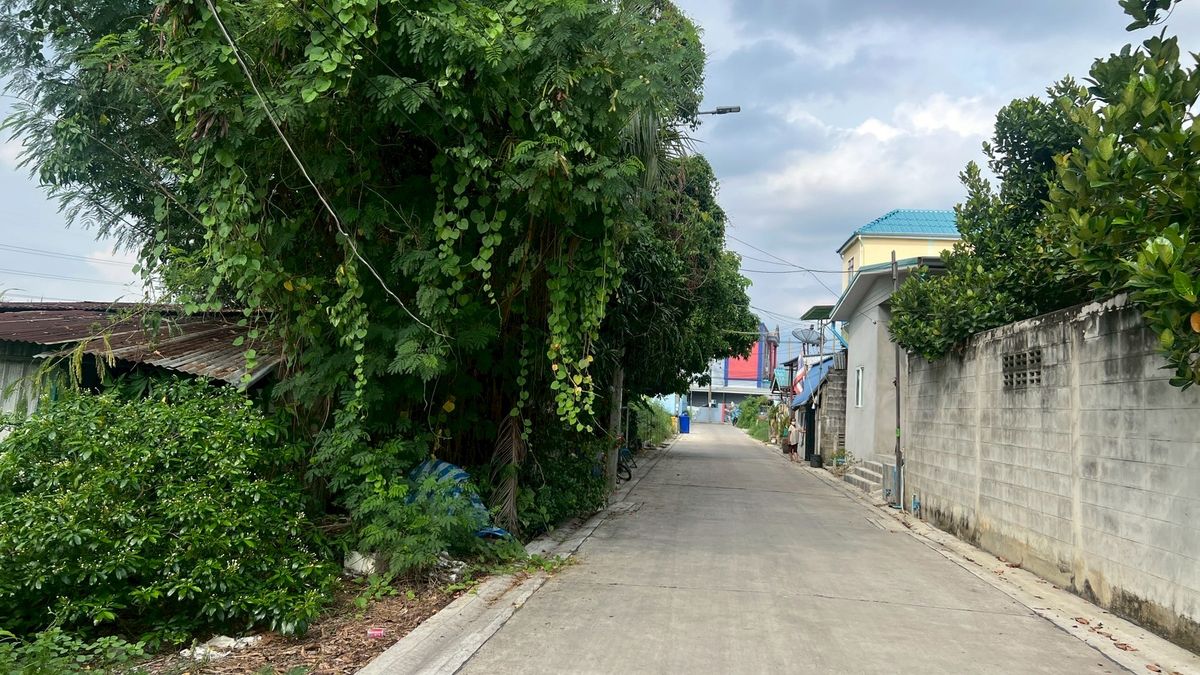 ขายที่ดินบางแค เพชรเกษม : 	ขายที่ดิน ซอยเพชรเกษม 77 หนองแขม เนื้อที่ 100 ตรว.หมู่บ้านสวัสดิการ1 รูปแปลงสวย