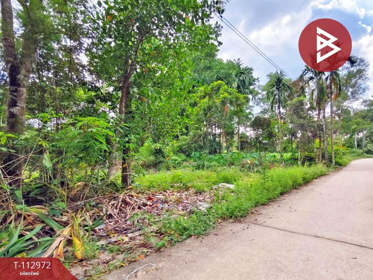 ขายที่ดินจันทบุรี : ขายที่ดิน เนื้อที่ 1 งาน 20 ตร.วา ท่าช้าง จันทบุรี