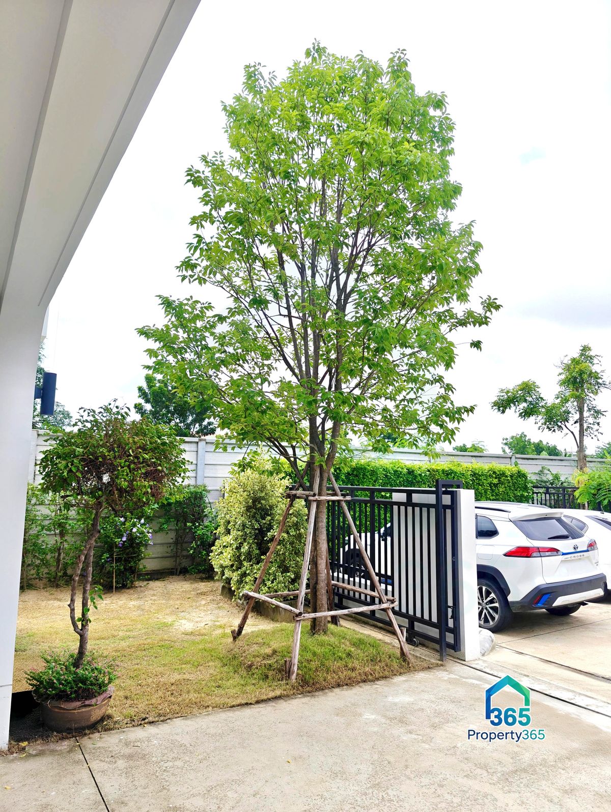 HousePathum Thani,Rangsit, Thammasat : Mitti Lamlukka Klong 6 (Sammakorn) Serene Detached House, 3rd House (from security post), a house in the first soi of the village.