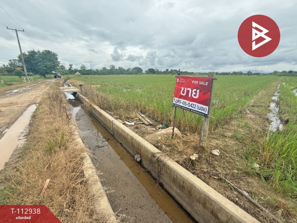 ขายที่ดินเชียงใหม่ : ขายที่ดิน เนื้อที่ 4 ไร่ 50.3 ตร.วา แม่แตง เชียงใหม่